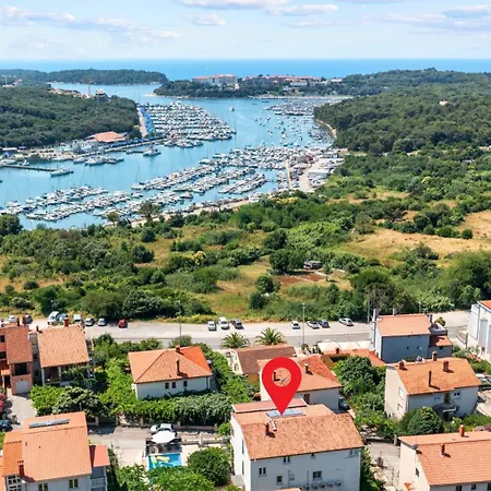 Petrinic - M By Guide *