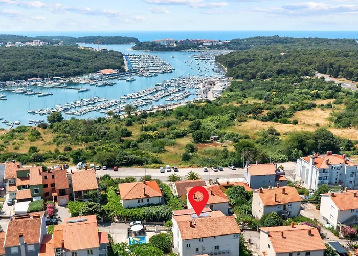 Petrinic - M By Guide *