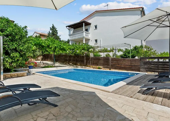 Petrinic - M By Guide *