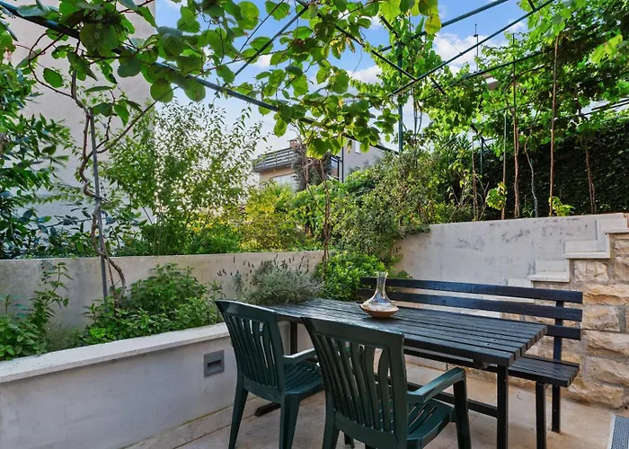 Petrinic - M By Guide *