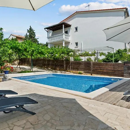 Petrinic - M By Guide *