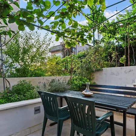 Petrinic - M By Guide *