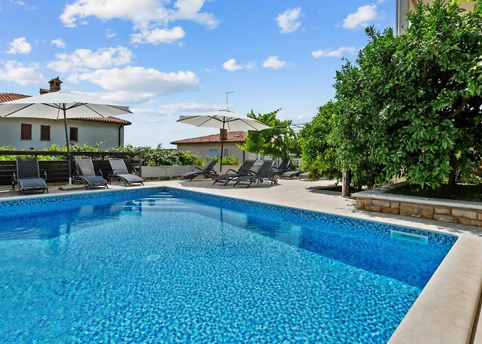 Petrinic - M By Guide *